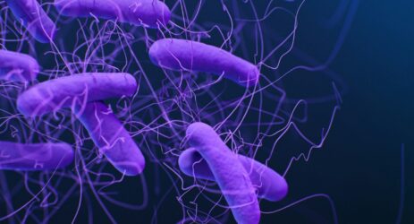 batteri resistenti stati uniti
