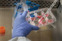 Monoclonale Toscana Life Sciences