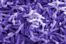 Resistenza Antibiotici