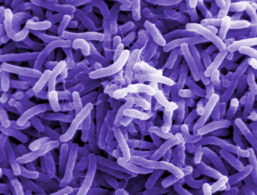resistenza antibiotici