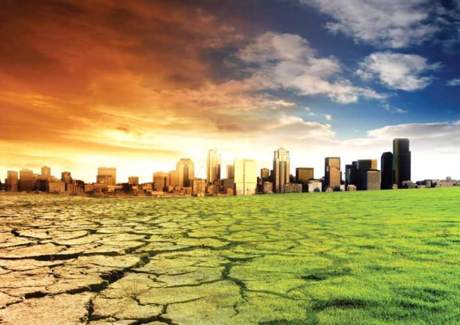 Cambiamento Climatico Università