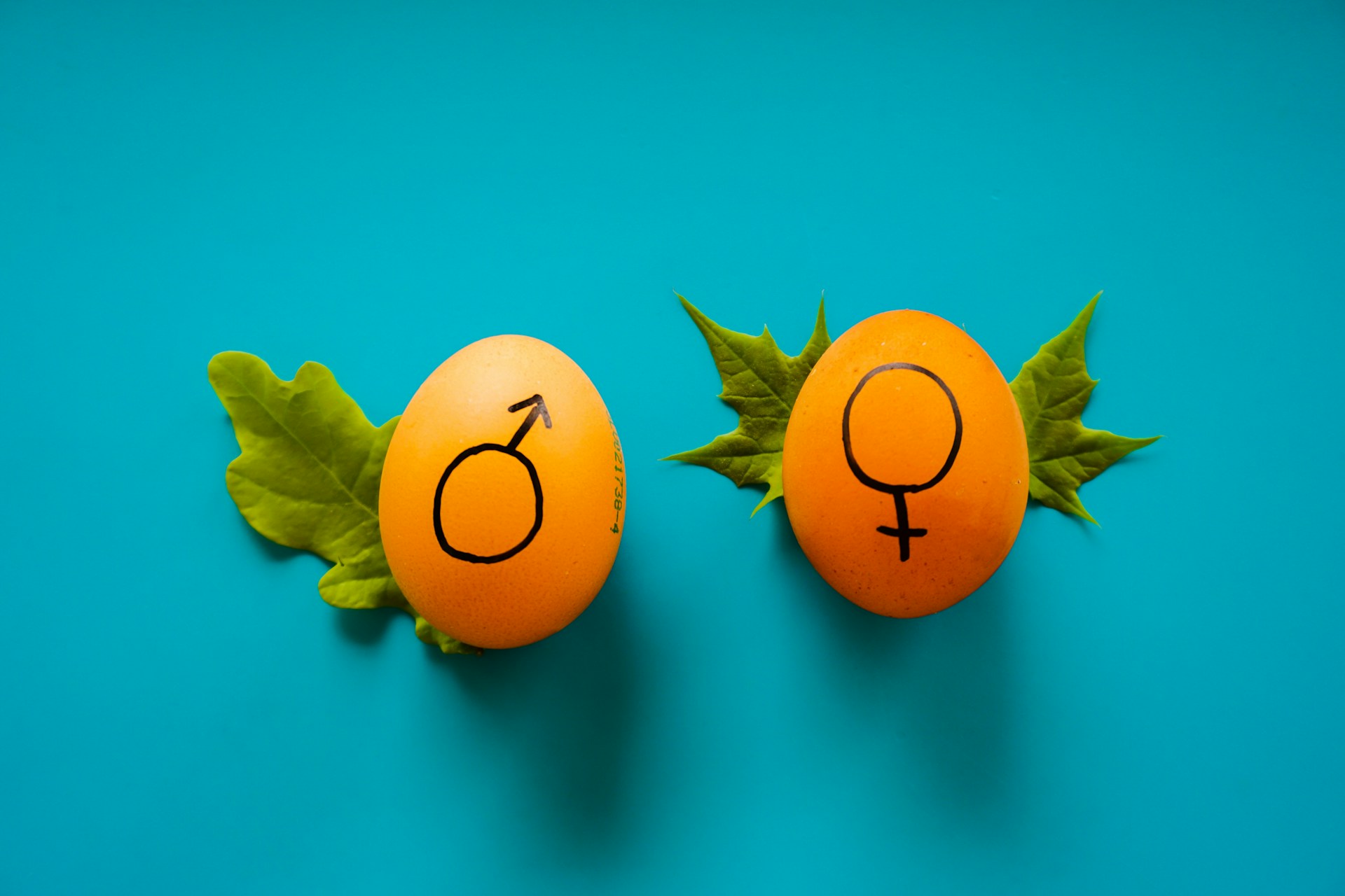 Gender equality certification: virtues and vices