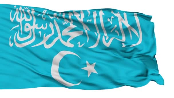 East Turkestan Islamic Movement