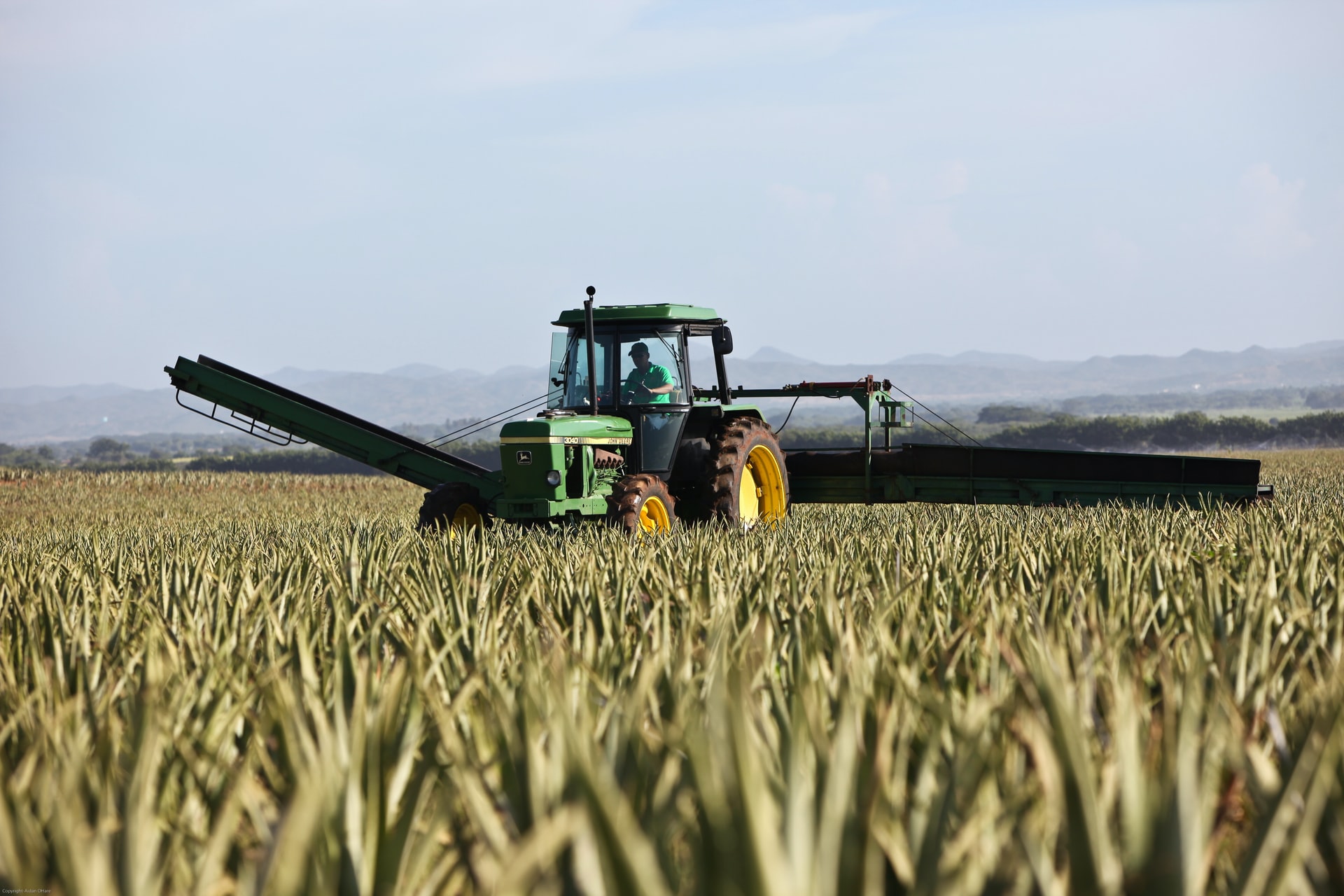 Because farmers are in shock over fertilizer prices