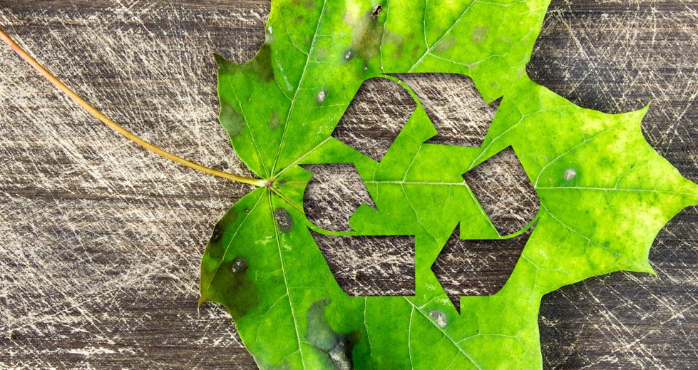 How to circulate the circular economy?