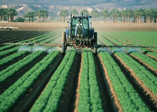 I'll tell you about the green food war between the US and the EU