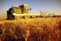 Agroalimentare