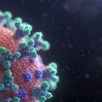 origine pandemia