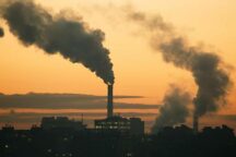 Kerry Tassa Sul Carbonio