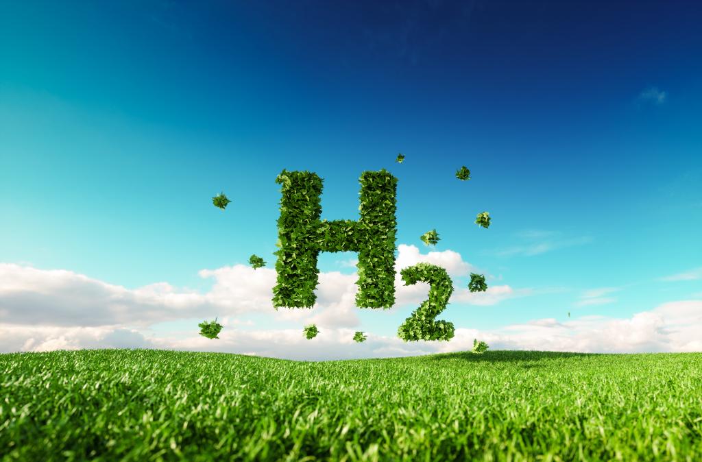 Who allies in France for green hydrogen