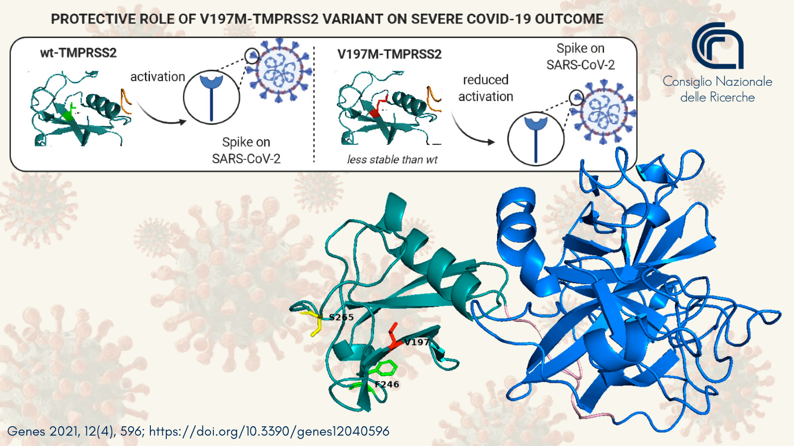 What will be new in anti Covid therapies