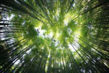 Biodiversità