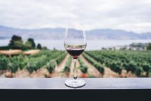 Etichetta Vino