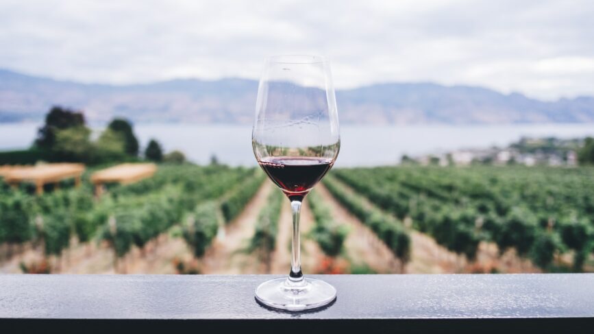 Etichetta Vino