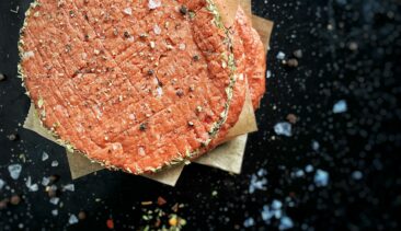 Cibo Sintetico