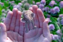 Magic Leap