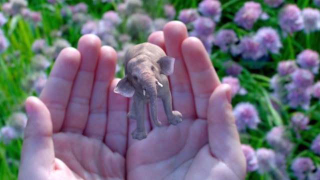 Magic Leap