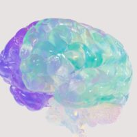 microplastiche cervello