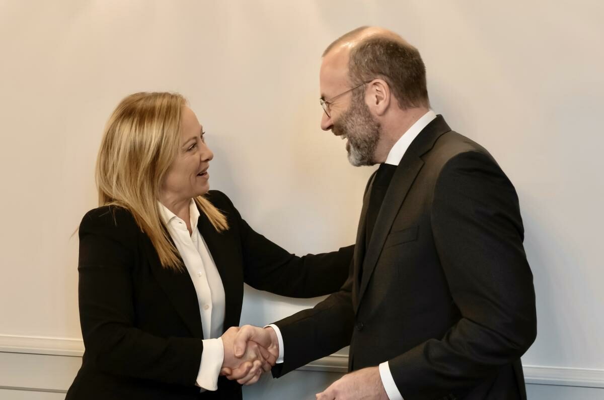 meloni