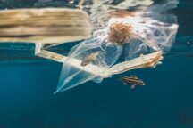 Plastica Mare FuelEU Maritime