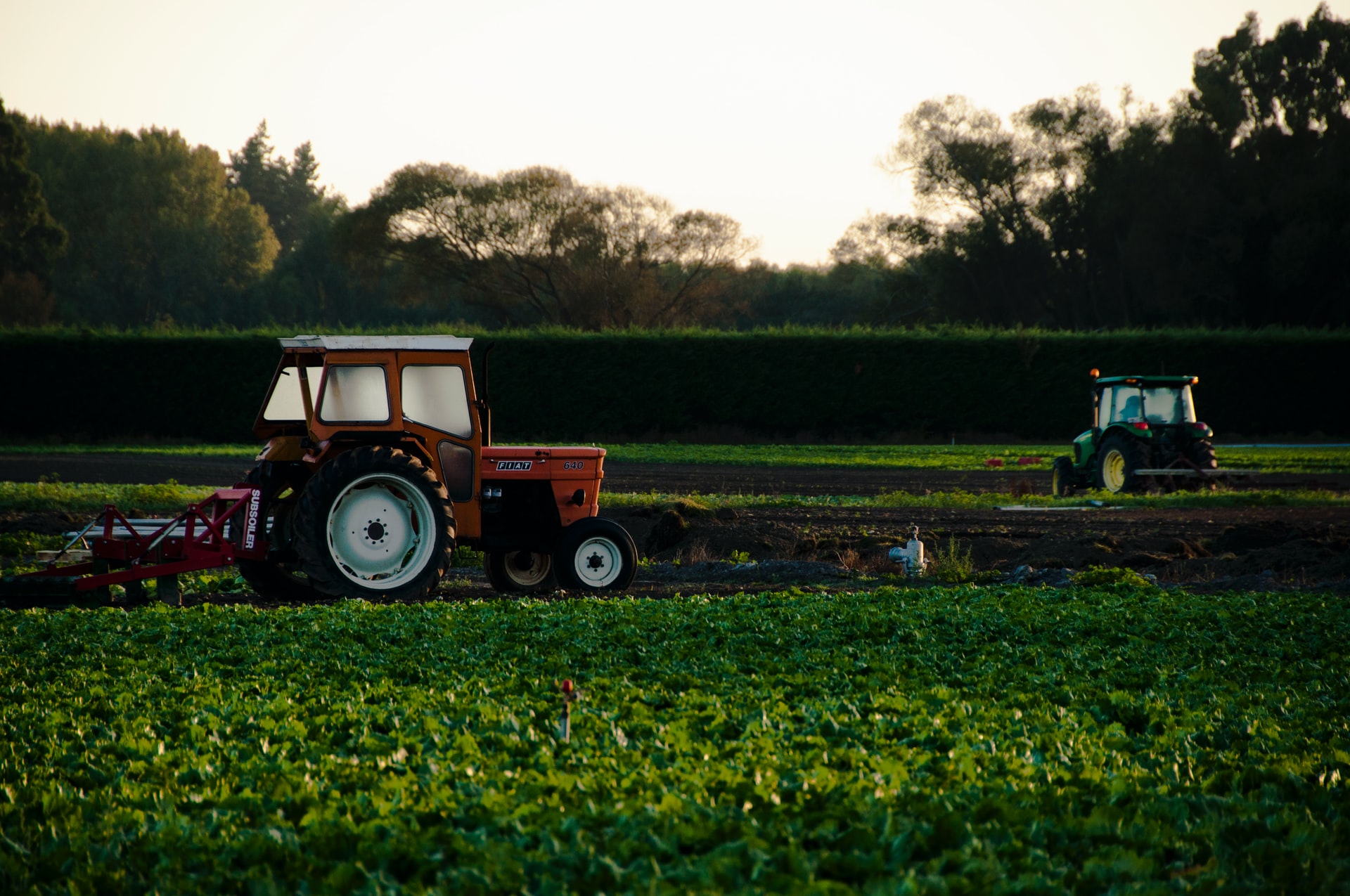 agricoltura verde