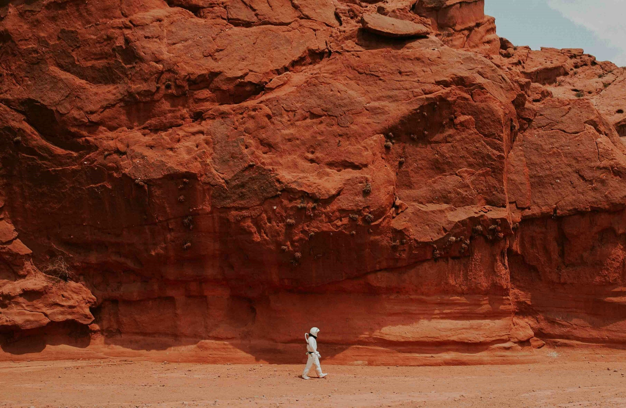 What will life be like on Mars? NASA seeks candidates for simulation