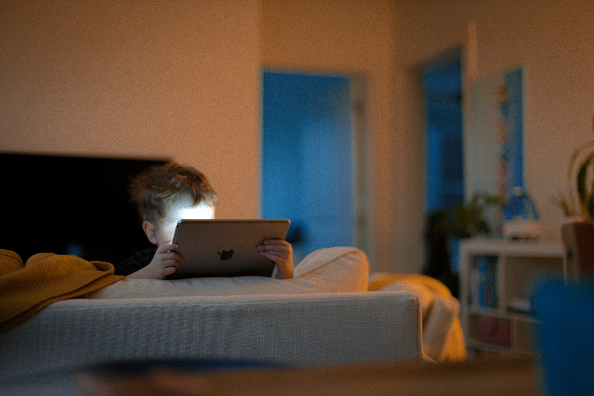 social network