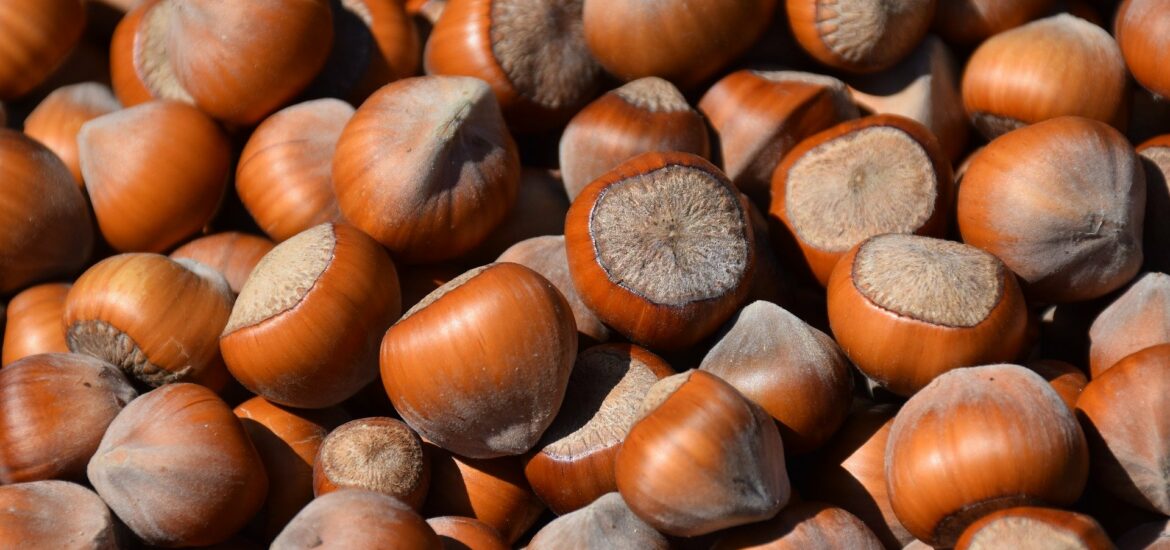 nocciole