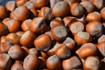 Nocciole