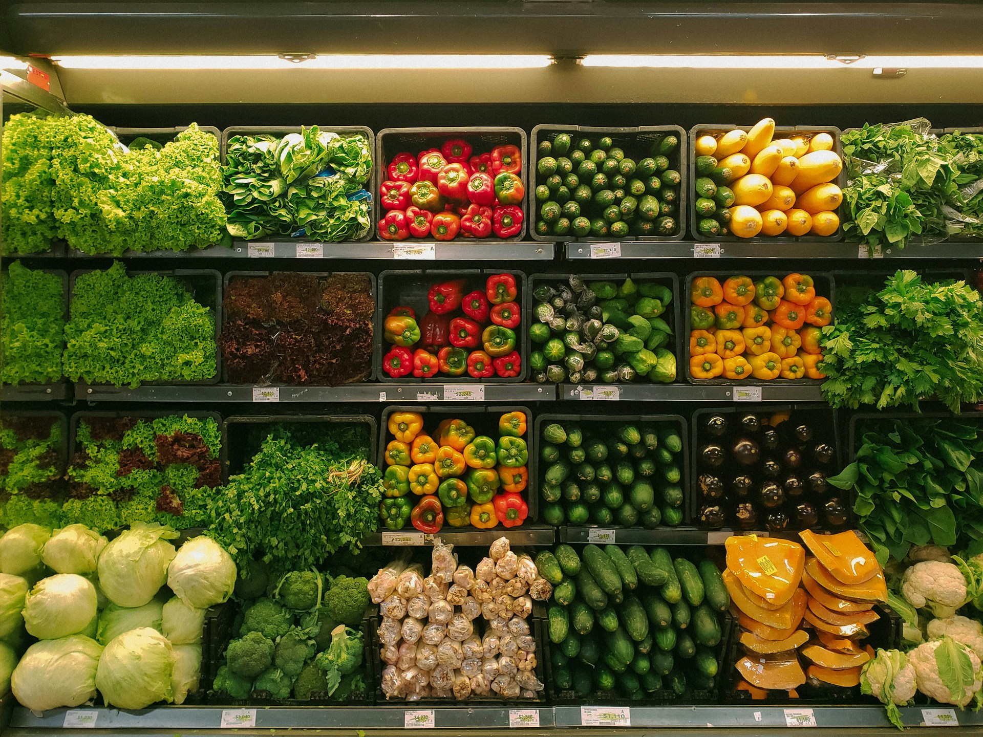 Conad, Esselunga e non solo: Perché la Gdo italiana è sempre più concentrata (senza campioni globali). Report Mediobanca