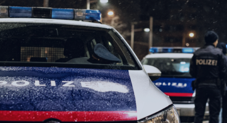 polizia auto elettriche