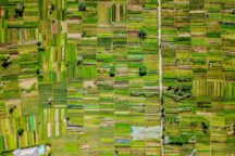 Agricoltura Città