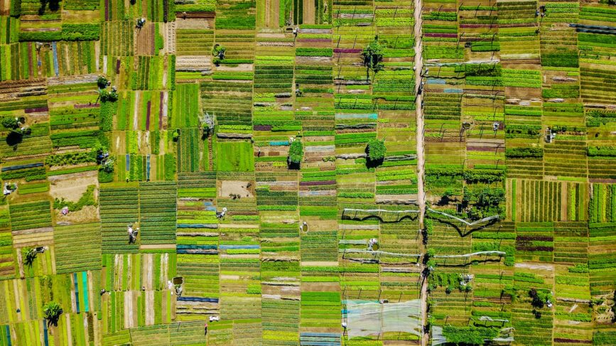 Agricoltura Città