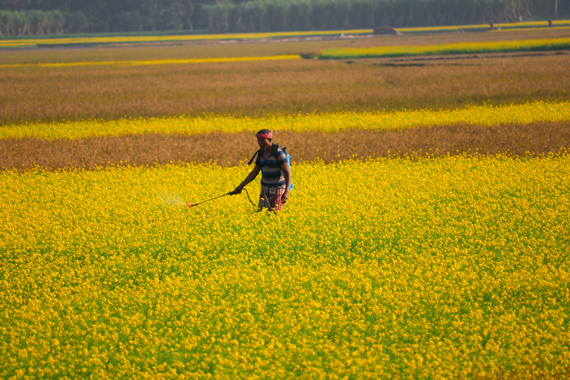 The European Union says yes to reducing pesticides (but calmly)