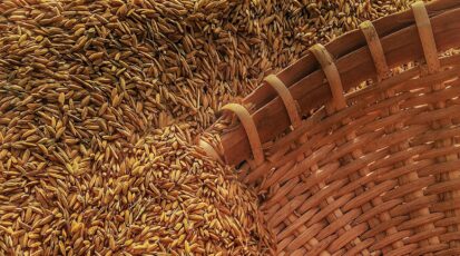 anidride carbonica colture