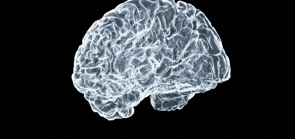 intelligenza