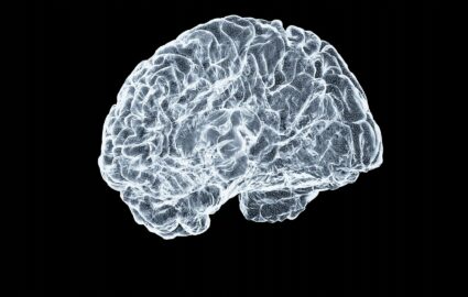 intelligenza
