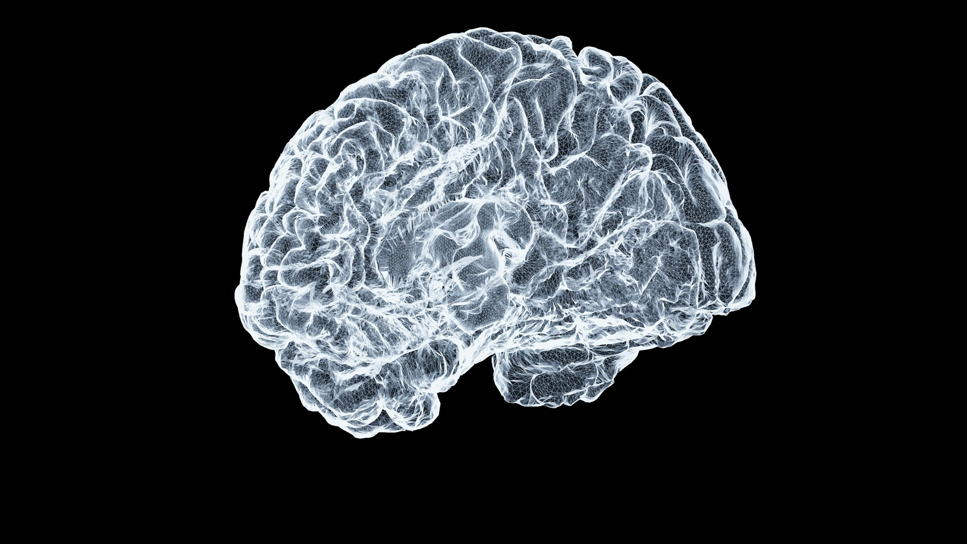 intelligenza