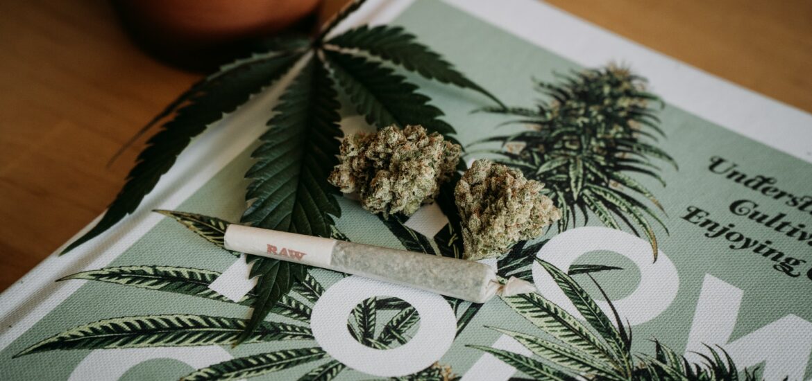 cannabis animali