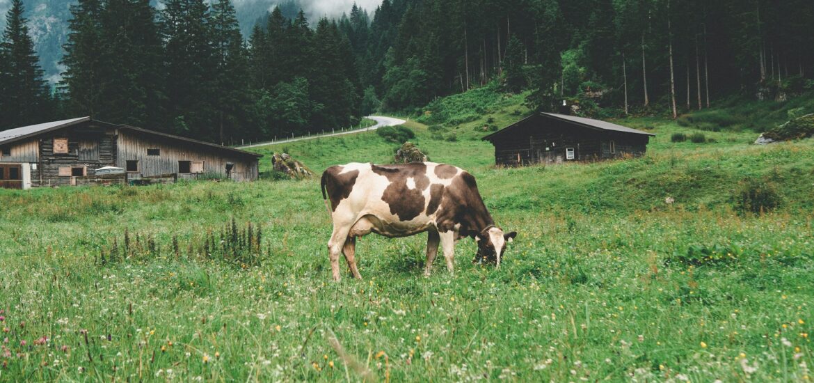 Centro Latte Bressanone
