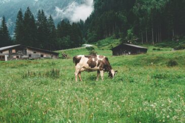 Centro Latte Bressanone