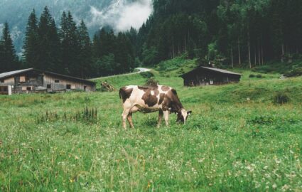 Centro Latte Bressanone