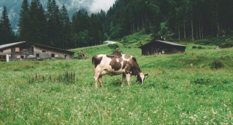 Centro Latte Bressanone