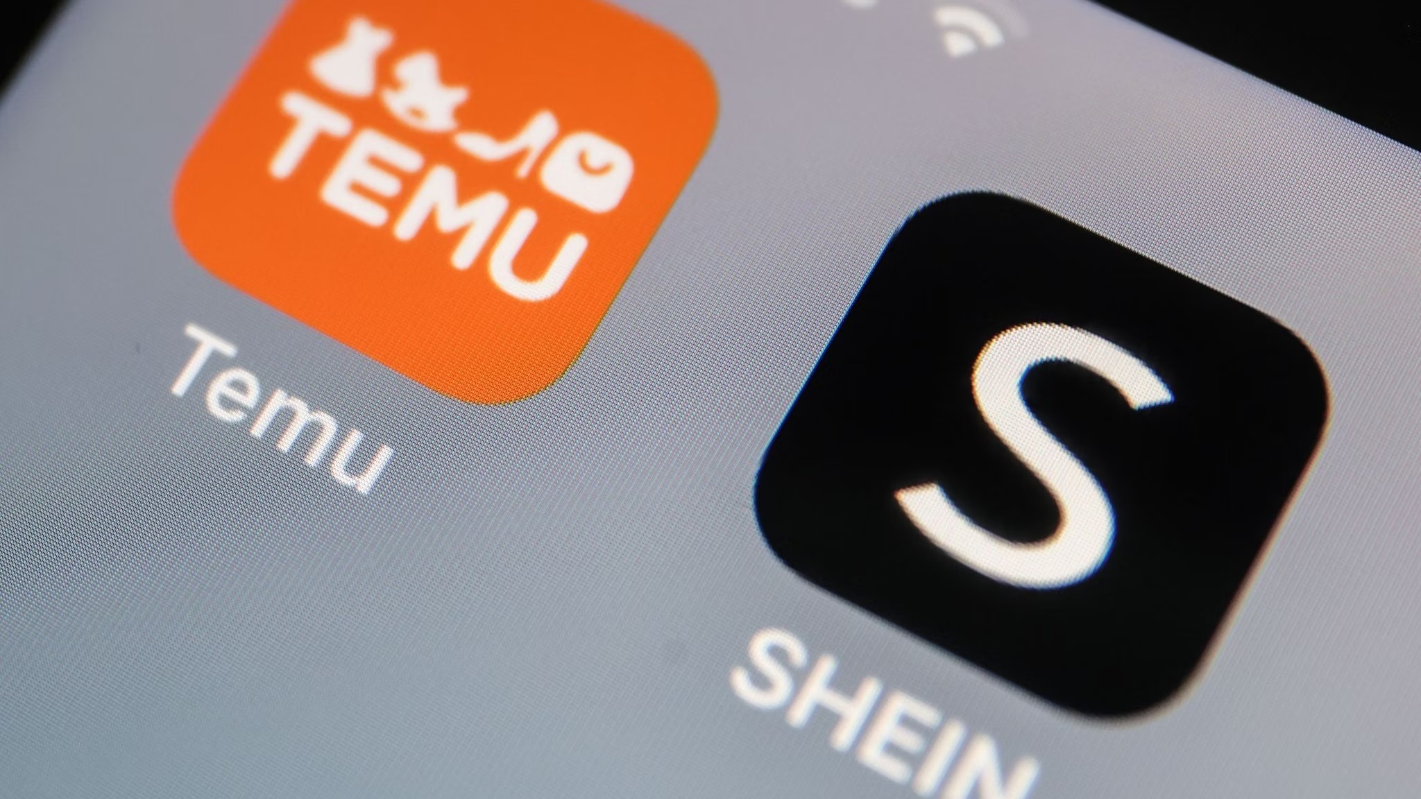 temu-shein