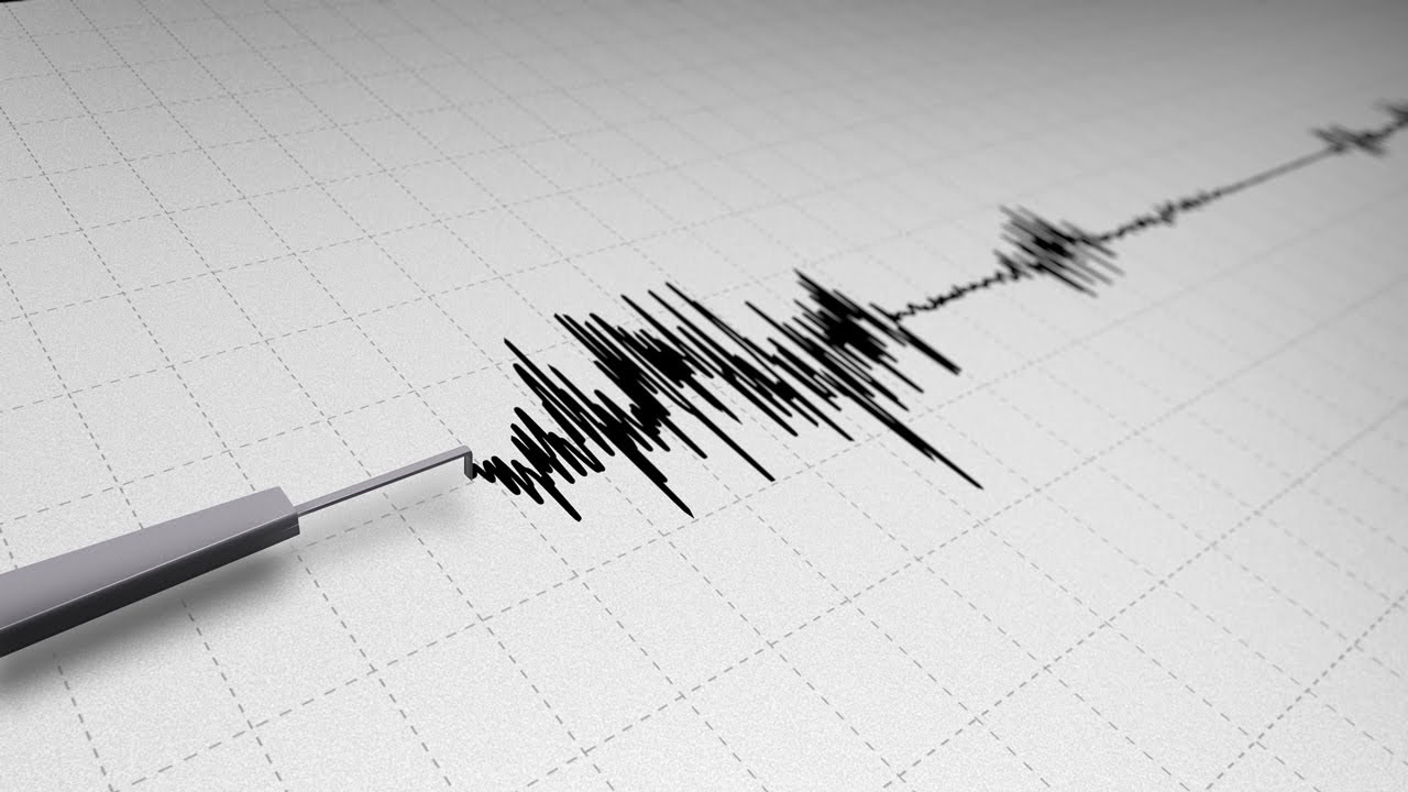 The earthquake in the Campi Flegrei analyzed by experts