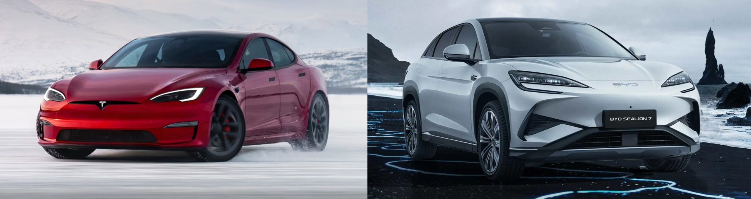 tesla byd