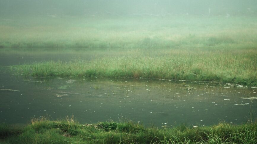 West Nile Italia