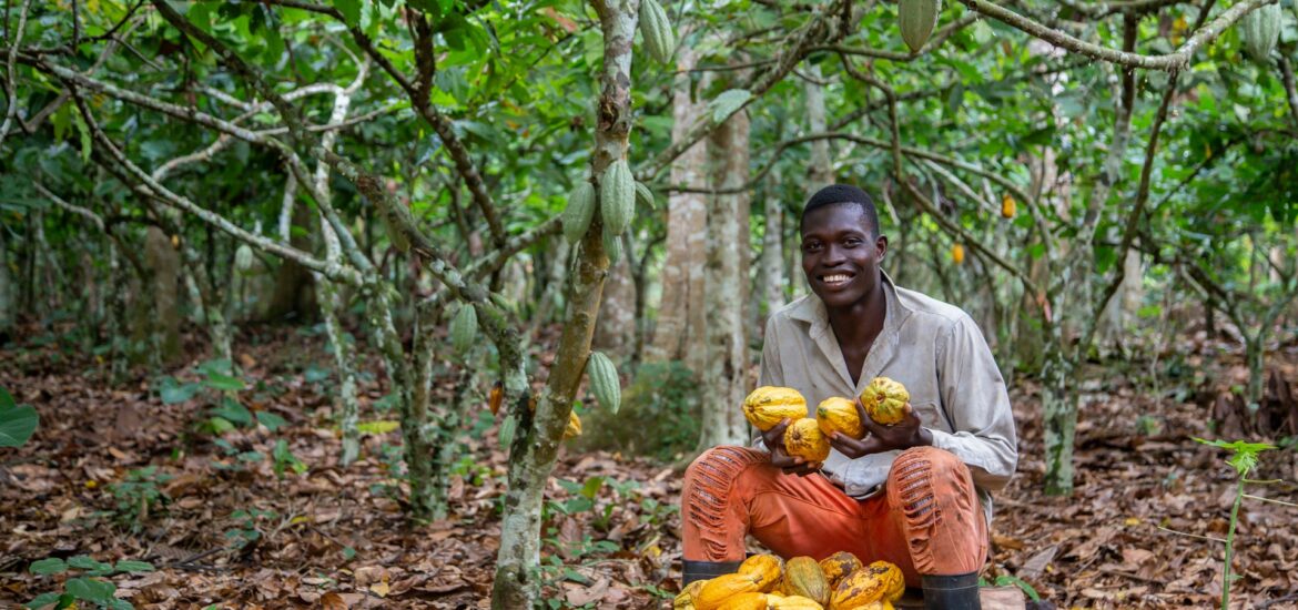 prezzo cacao
