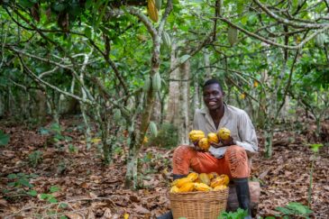 prezzo cacao