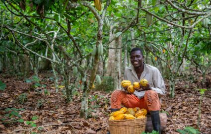 prezzo cacao